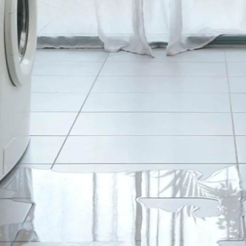 Appliance Leak Cleanup in Elburn, IL