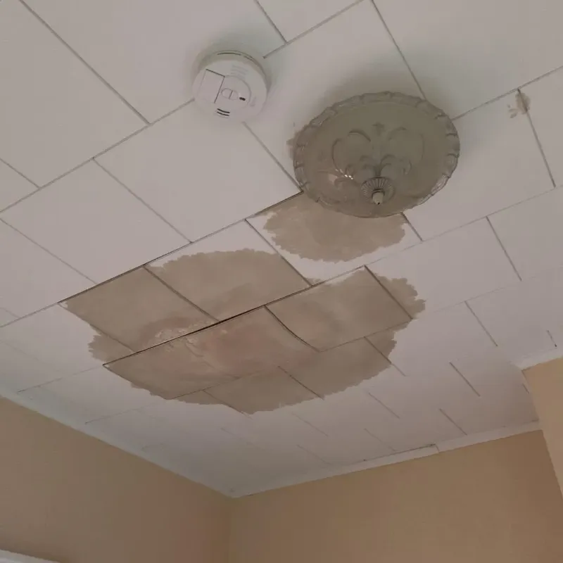 Ceiling Water Damage Repair in Elburn, IL