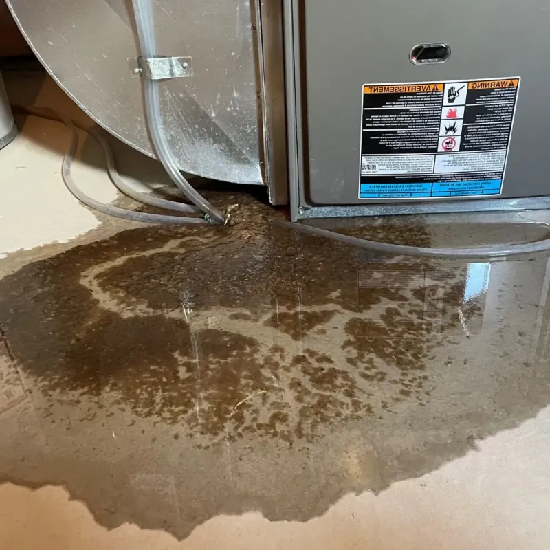 Pipe Burst and Leak Restoration in Elburn, IL